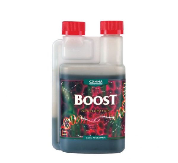 CANNA BOOST ACCELERATOR 1 LT