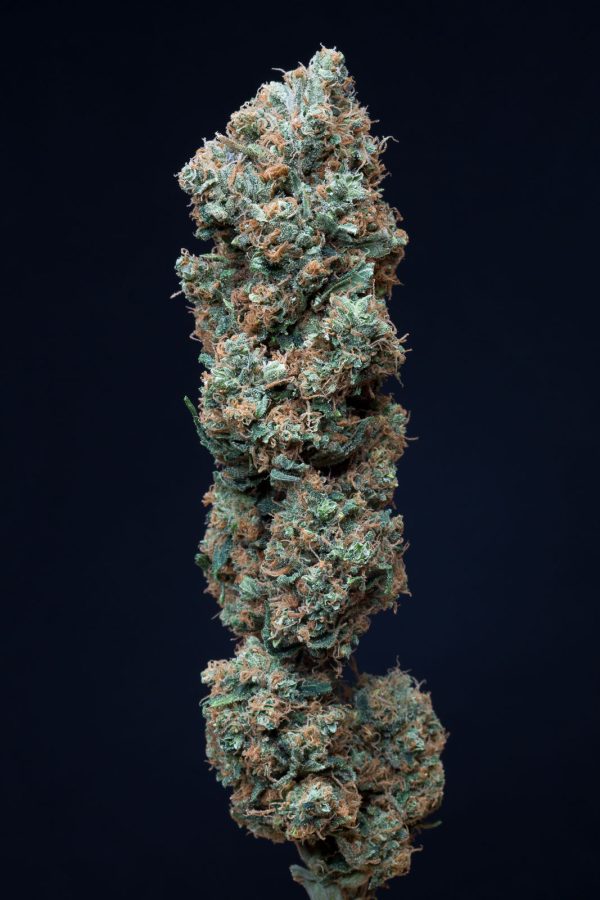 DINAFEM CBD BUBBA KUSH X 5