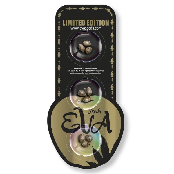 EVA SEEDS FEM LAVENDER X CRITICAL FEMSWISS X 3