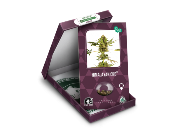 SENSI SEEDS CBD HIMALAYAN X 3