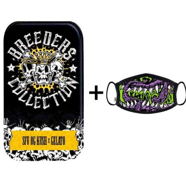 STRAIN MACHINE FEM SFV OG KUSH X GELATO X 3