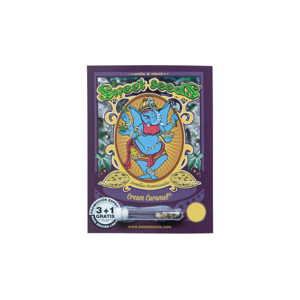 SWEET SEEDS FEM CREAM CARAMEL X 3 + 1