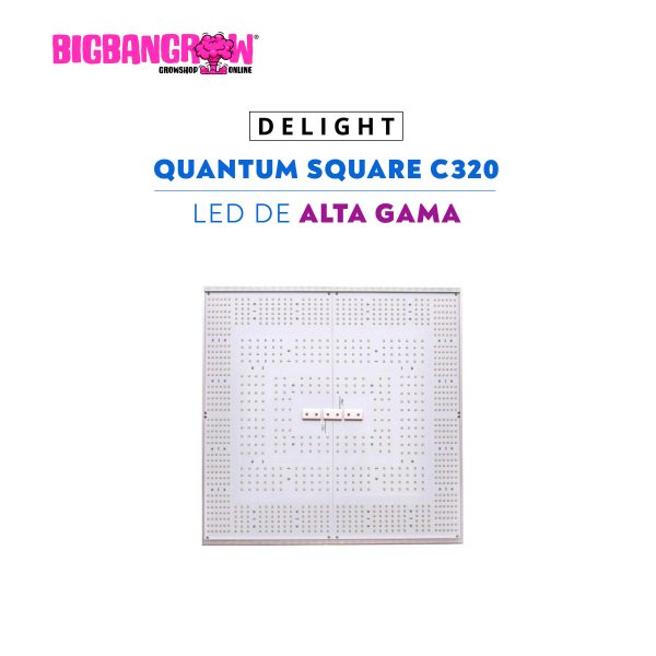 DELIGHT QUANTUM SQUARE C320