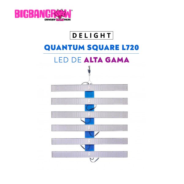DELIGHT QUANTUM SQUARE L720